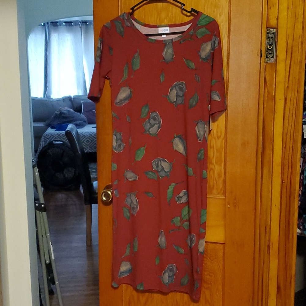 LuLaRoe Julia Small Dress